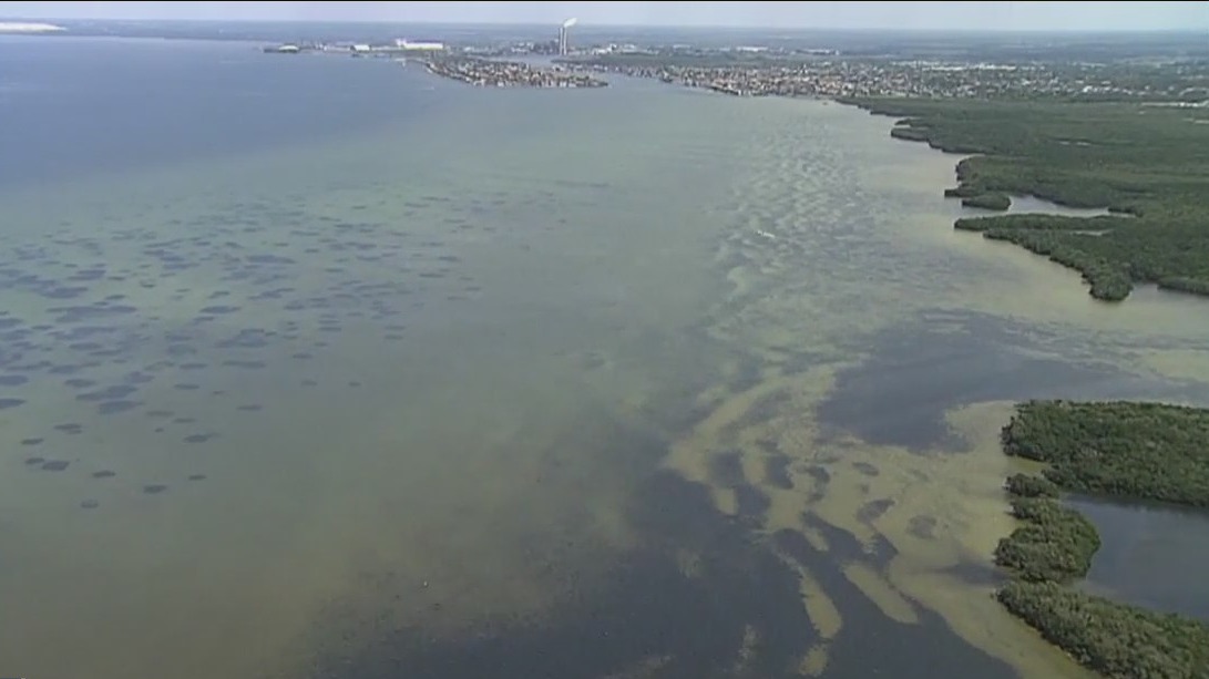 New fertilizer ban coming to Hillsborough County